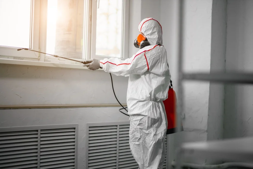 Professional mold remediation services in Sound Beach, NY